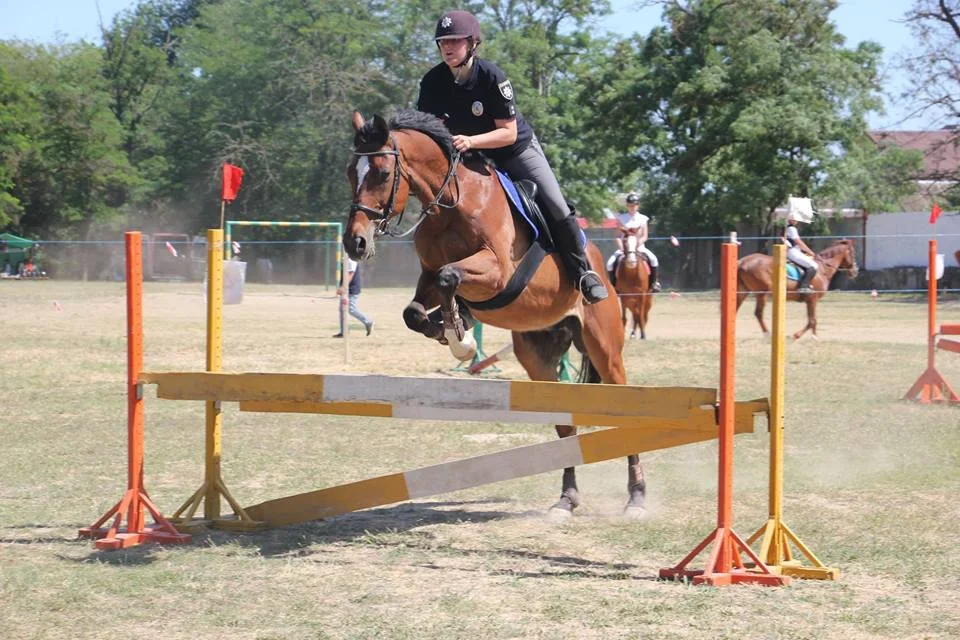 Жокей на коні долає перешкоду під час змагань.