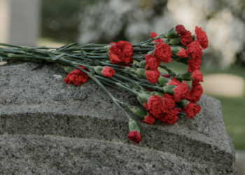 Мешканцю Львівщини винесли вирок за крадіжку квітів з могили — Львівщіна