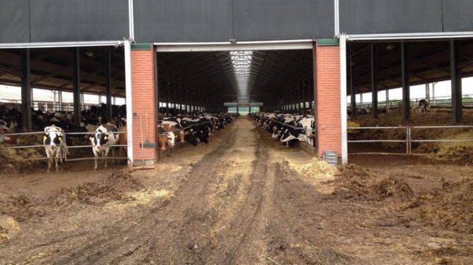 Фото тематичне