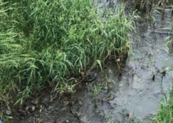 На Львівщині 11-річна дитина впала з 6-метрового мосту — Львівщіна