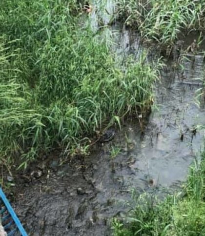 На Львівщині 11-річна дитина впала з шестиметрового мосту