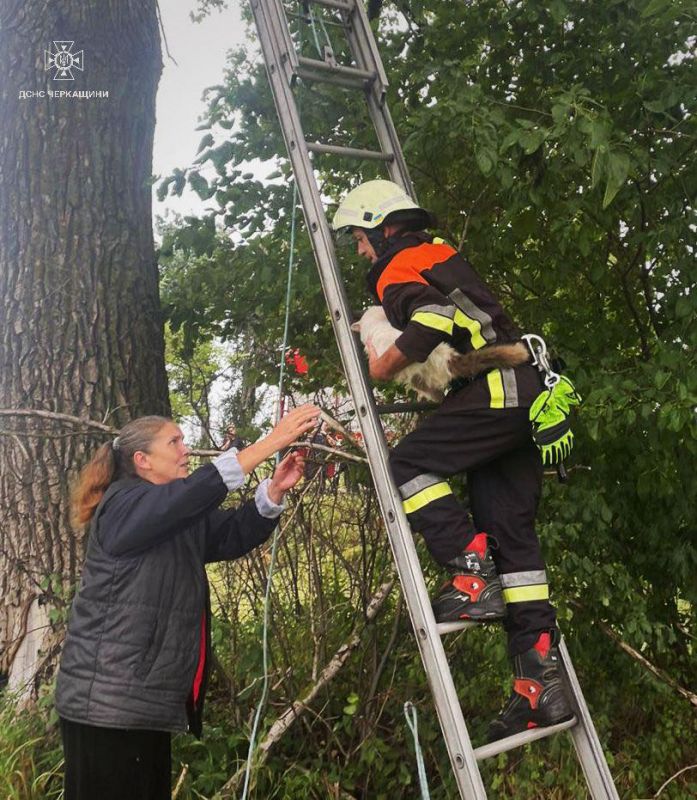 518395954_1163550472476325_6231840697890667671_n