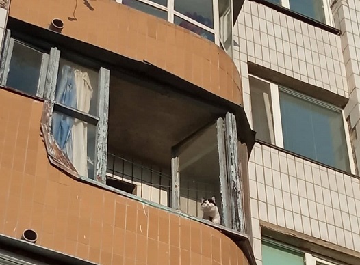 d67c921a4ed482b8b8bd59969d4be460