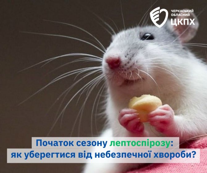 516918922_706159442227636_5836373156615686691_n