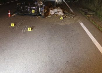 Правоохоронці оприлюднили фото ДТП, у якій загинув нардеп зі Львова