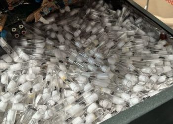 У Львові оштрафували закарпатця за спробу переслати 2,5 тисячі мурах за кордон — Львівщіна