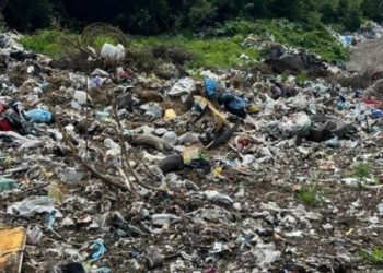 У Раві-Руській комунальники скидали сміття поза полігоном — Львівщіна