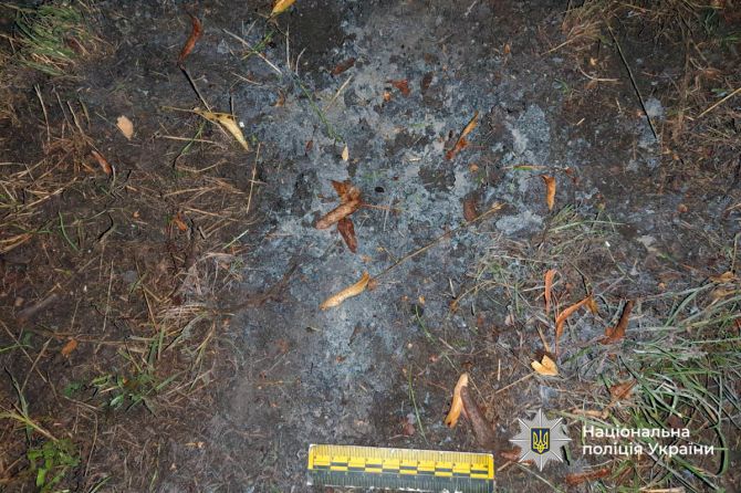 525477179_1208261594678460_4695359922483519590_n