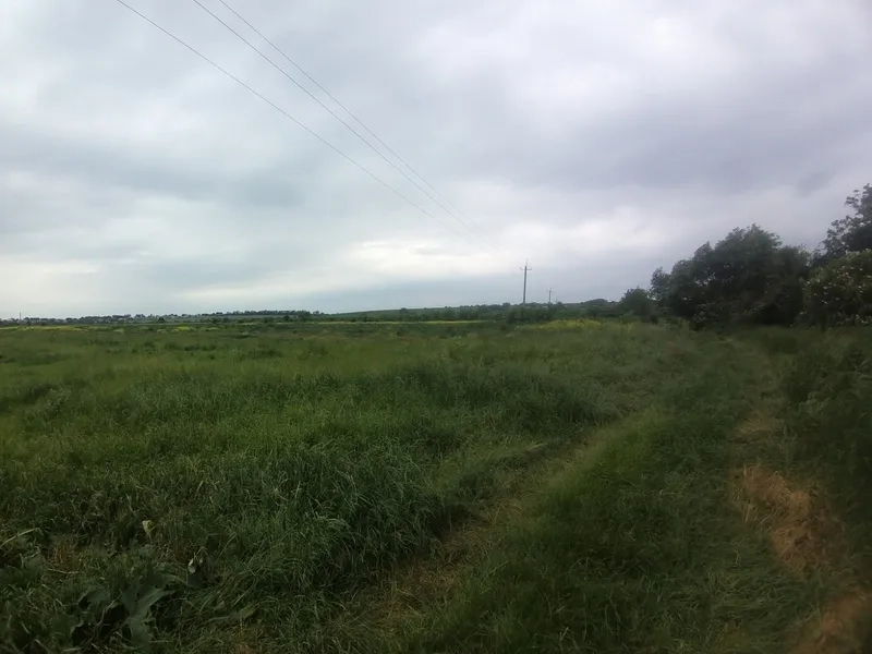 Земельна ділянка, яку продали на аукціоні