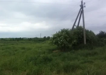 За 4,6 млн грн продали землю під торгові будівлі у Львівському районі — Львівщіна