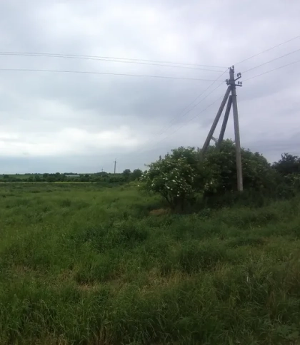 Землю під торгові будівлі у Львівському районі продали за 4,6 млн грн місцевій фірмі