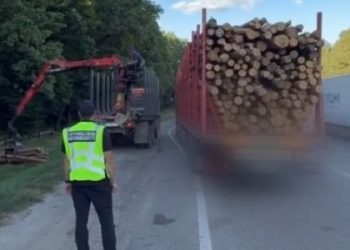 Біля Бродів водія вантажівки змусили скинути понад 8 тонн дров, щоб продовжити рух — Львівщіна