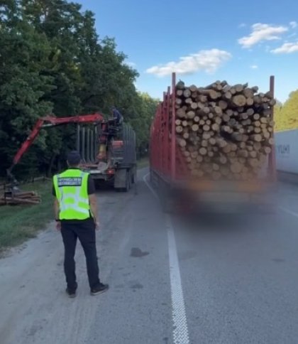 Біля Бродів водія вантажівки змусили скинути понад 8 тонн дров, щоб продовжити рух