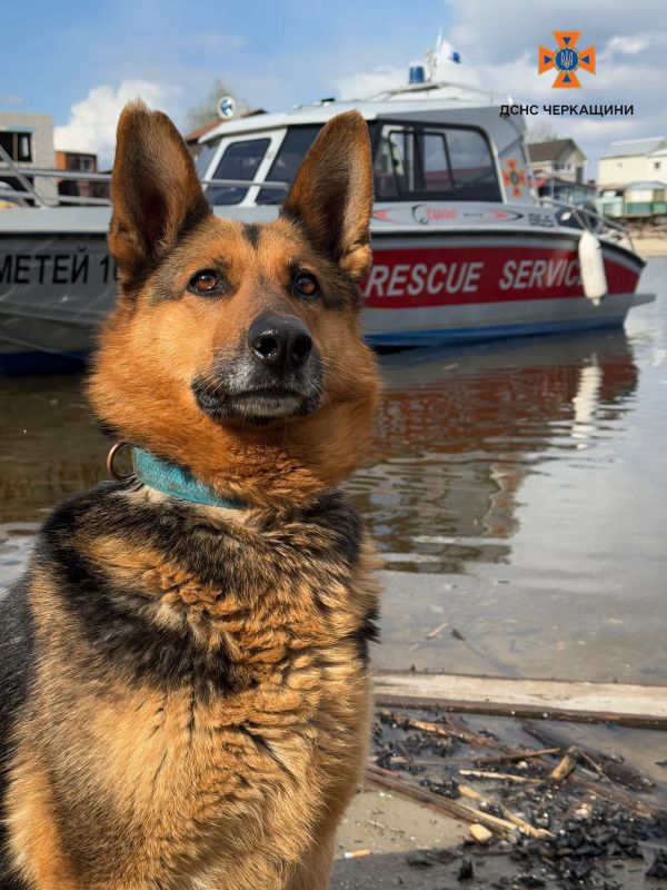 534680580_1185300850301287_5092404396231970322_n