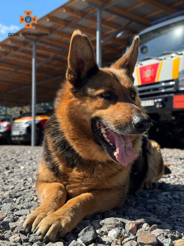 532530722_1185300860301286_6873877485237691485_n