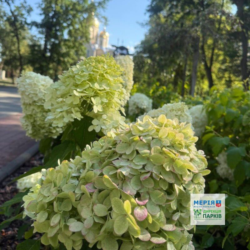 533035089_749849724477027_2740600995582404033_n