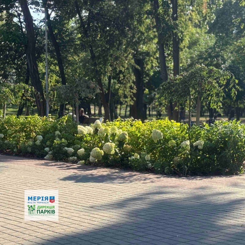 532260352_749849714477028_6558706972422737824_n