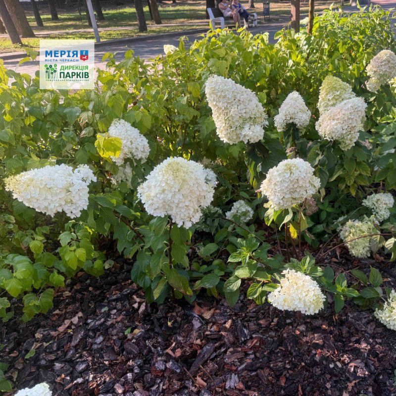 530374406_749849777810355_8034469171815512365_n