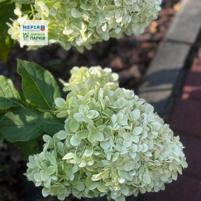 530884173_749849751143691_287967181798976898_n