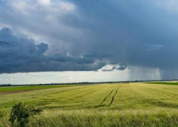 У Львові зафіксували найнижчу серпневу температуру за понад 60 років