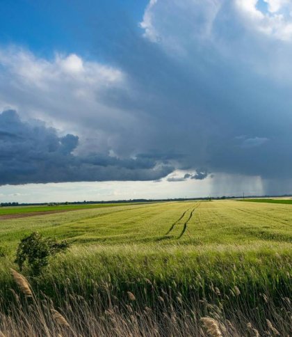 У Львові синоптики зафіксували найнижчу серпневу температуру за понад 60 років