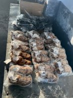 У мешканки Львівщини знайшли на кордоні 50 тисяч доларів готівкою – 05