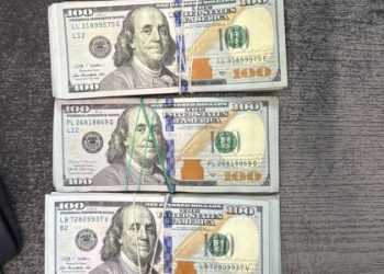 У мешканки Львівщини знайшли на кордоні 50 тисяч доларів готівкою — Львівщіна