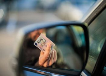 Водійські посвідчення без іспитів: як розпізнати шахраїв | АВТО НОВИНИ |