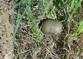 Біля Буська п’янив водій викинув гранату під час зупинки поліцією — Львівщіна