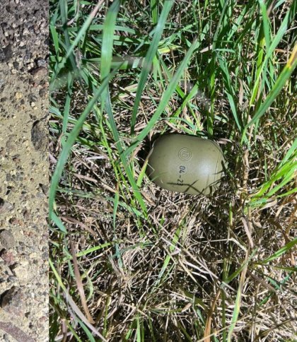 Біля Буська п’янив водій викинув з кишені гранату під час зупинки поліцією