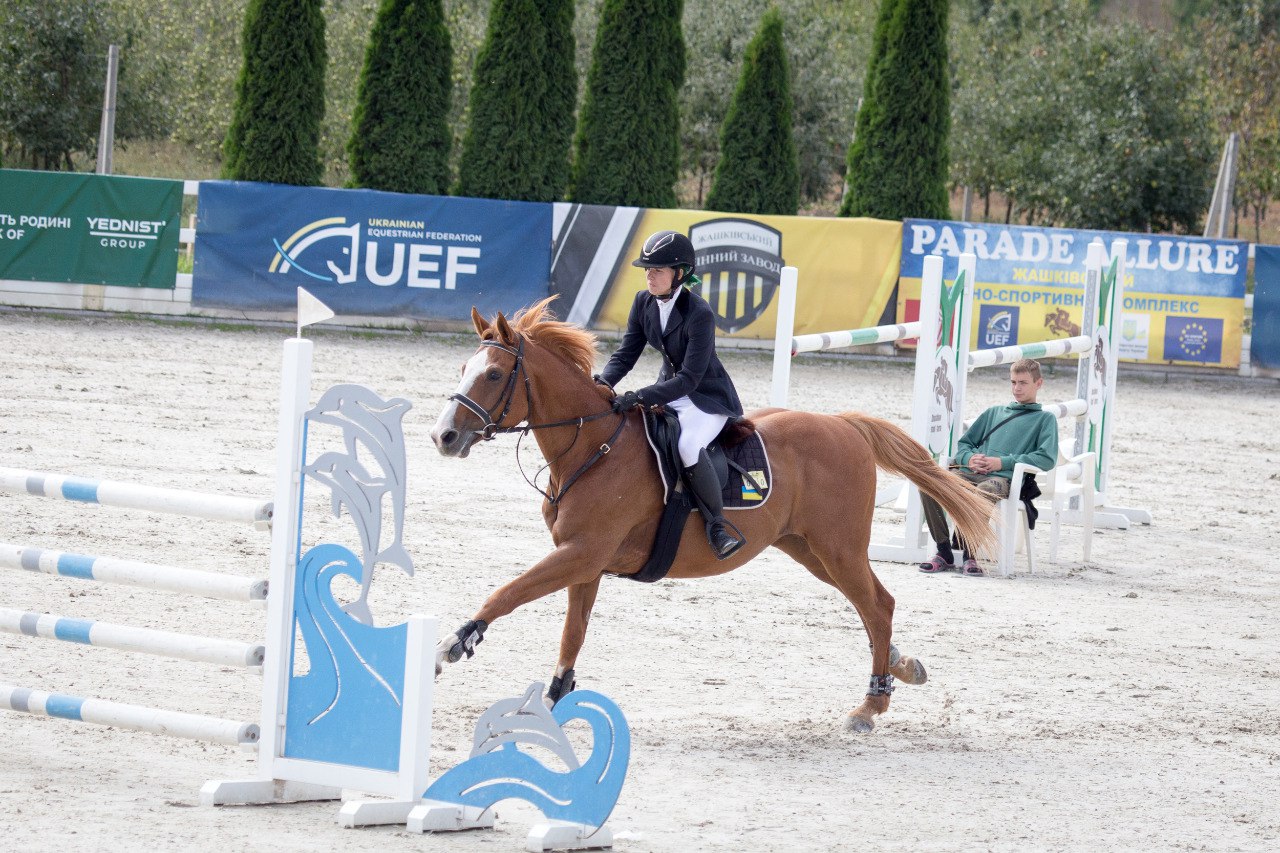 Кінний спорт