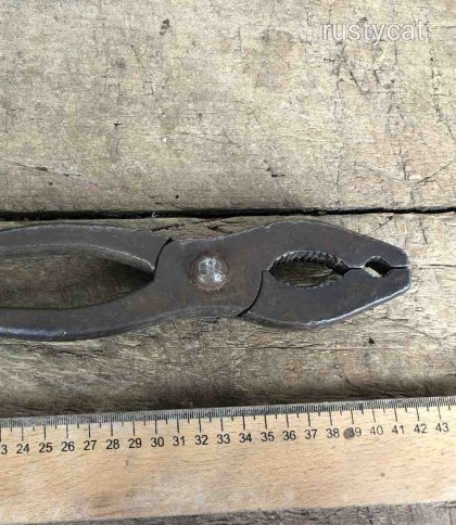 Двоє мешканців Львівщини катували чоловіка пласкогубцями через крадіжку на цвинтарі