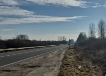 Експрокурор з Тернополя за 44 млн грн купив ділянку під Львовом — Львівщіна