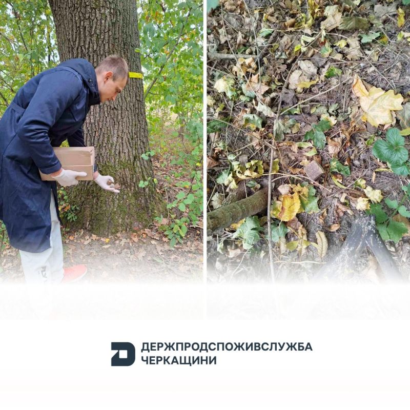 556854466_1185560200269255_8965427464429376328_n