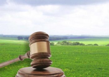 Львівська ОВА програла суд за майже 10 га землі на Білогорщі –