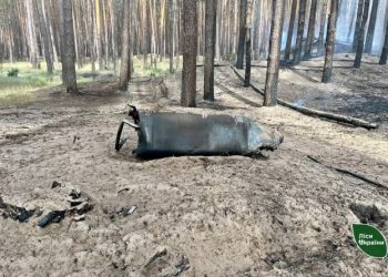 На Черкащині внаслідок російського обстрілу пошкоджено майже 6 га лісу — Новости Черкасс