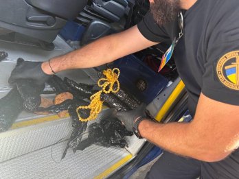 На кордоні з Львівщиною в мікроавтобусі знайшли понад 4 кг бурштину – 01