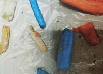 На Львівщині чоловік сховав наркотики у моркві, щоб переслати в колонію — Львівщіна