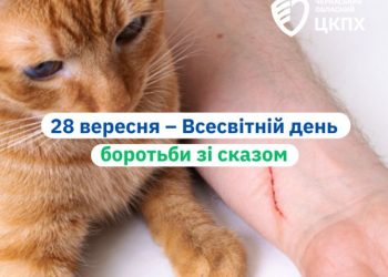 Сказ не відступає: цьогоріч у Черкаській області виявлено 79 випадків серед тварин — Новости Черкасс