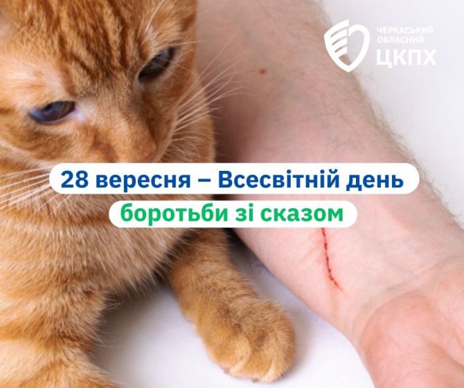 555734392_768739582636288_5946135913160231319_n