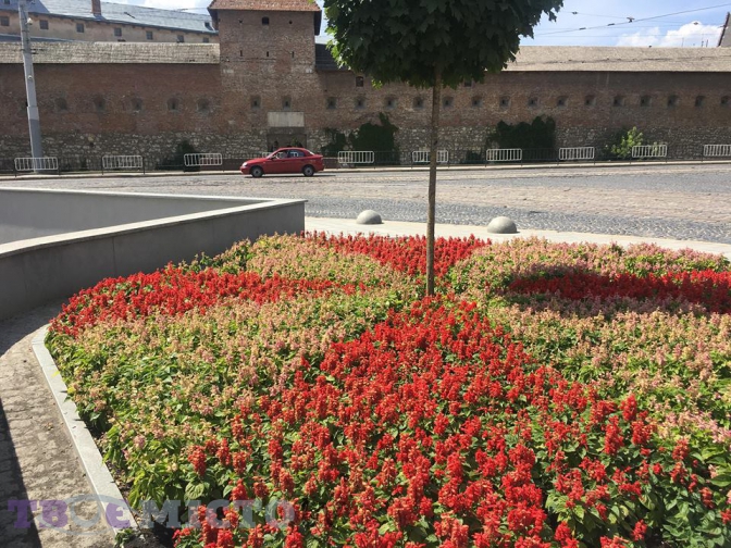 На площі Митній висадили кущі чаберу та троянд