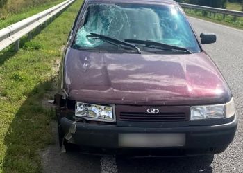 У Піщаному в ДТП загинув велосипедист — Новости Черкасс