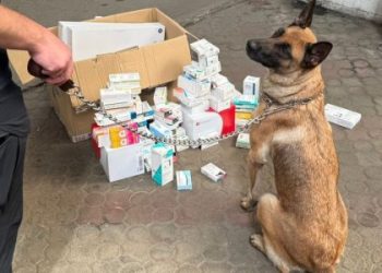 У “Шегинях” службова вівчарка знайшла у пасажирки автобуса нарковмісні таблетки — Львівщіна