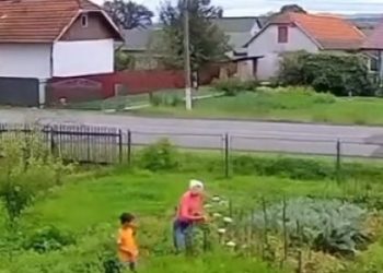 За постріли в сусідку у Дрогобичі чоловіка оштрафували на 850 грн — Львівщіна