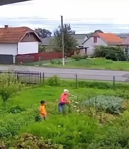 За стрілянину по сусідці у Дрогобичі чоловіка оштрафували на 850 грн