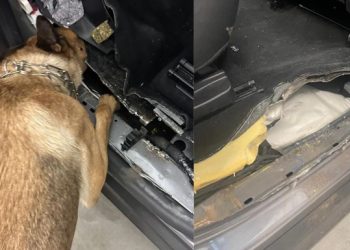 На Львівщині в авто виявили 27 кг наркотиків з Польщі