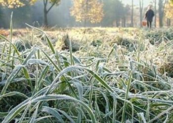 Погода Львів Львівщина 1 жовтня: температура — Львівщіна