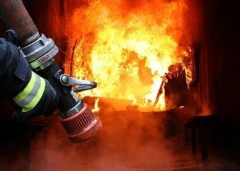 Пожежа у Руській Поляні знищила авто, будівлю та домашню птицю — Новости Черкасс
