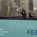 Російські війська обстріляли Херсон: двоє загиблих, 19 поранених