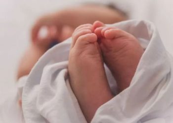 Справжній богатир: у Черкасах народився малюк з вагою понад п’ять кілограмів — Новости Черкасс